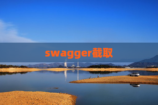 swagger截取
